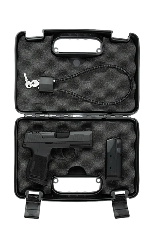 Спортивный пистолет Sig Sauer P365 9мм, X-RAY 3, (2) 10RD STEEL MAG, OR photo 7