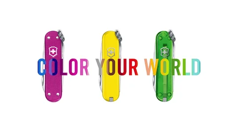 Ніж Victorinox Сlassic SD «Smashed Avocado » — фото 4