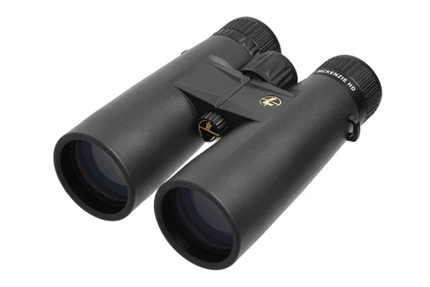 Бінокль Leupold BX-1 McKenzie HD 10x50mm темно-сірий